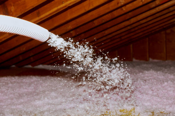 Best Spray Foam Insulation  in Windsor, IL